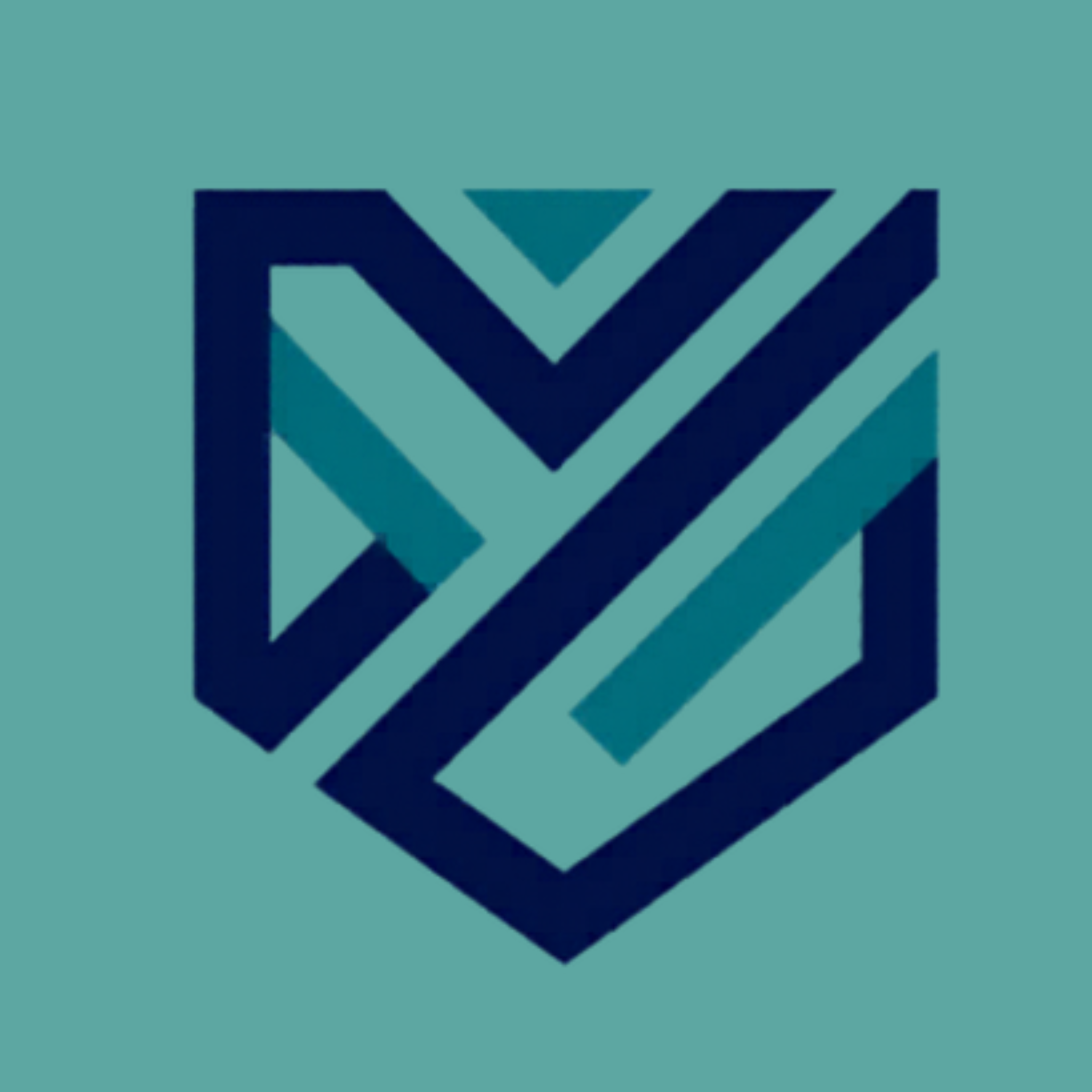 VvE Pro Actief logo
